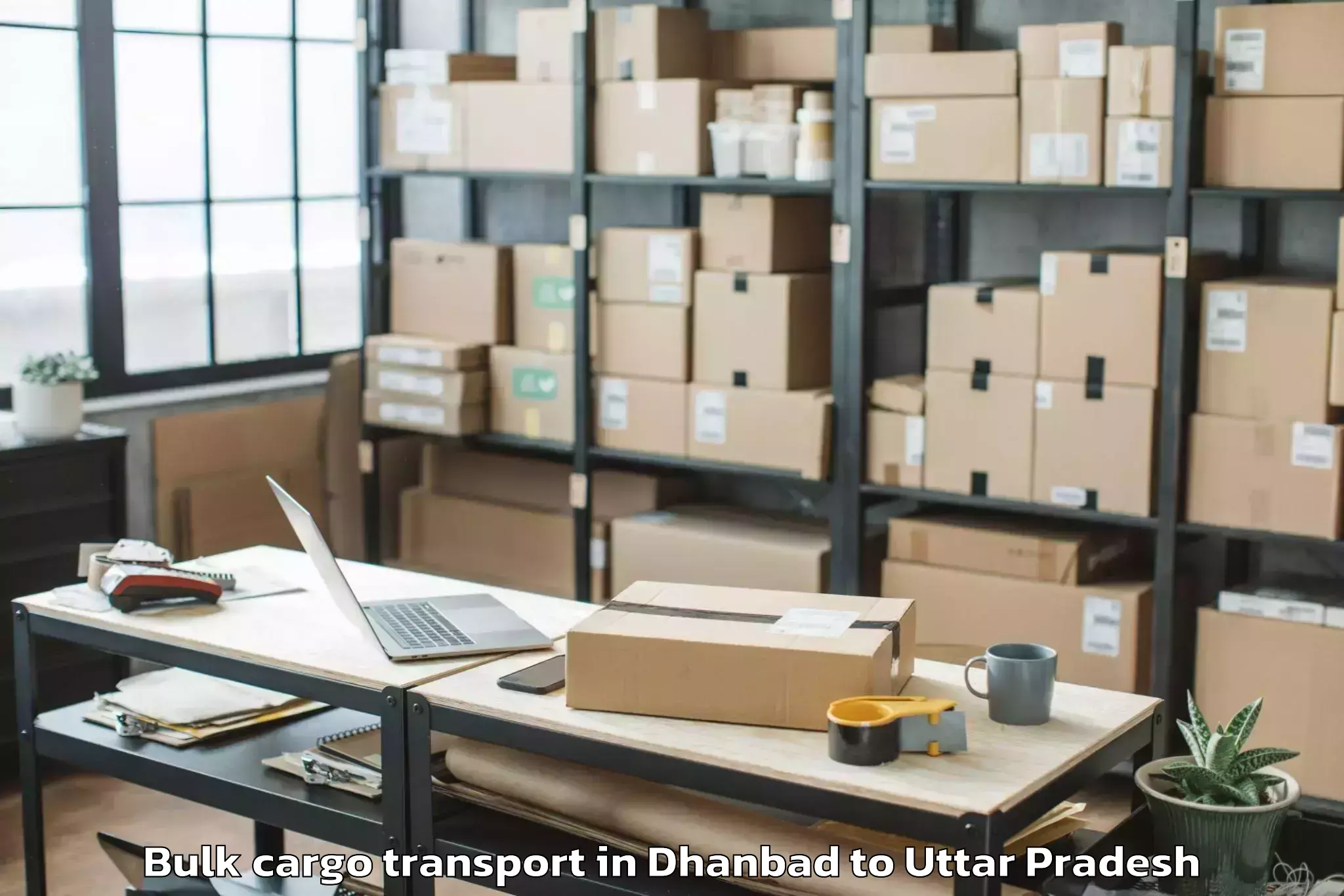 Book Dhanbad to Jhusi Bulk Cargo Transport Online